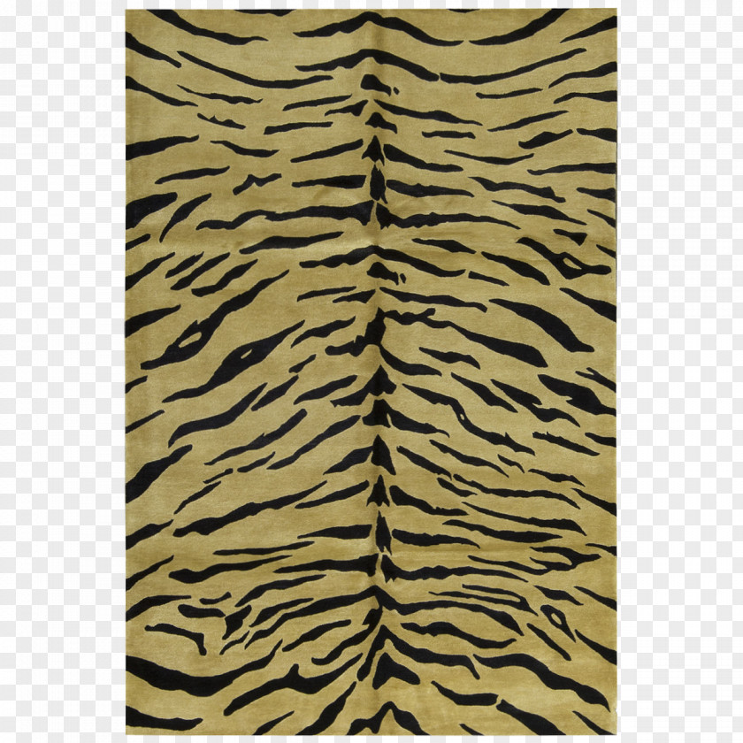 Tiger Tigerfell Fur Textile Pattern PNG