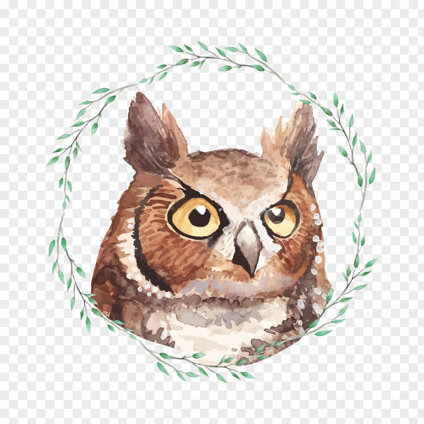 Vector Owl Watercolor Painting Poster Illustration PNG