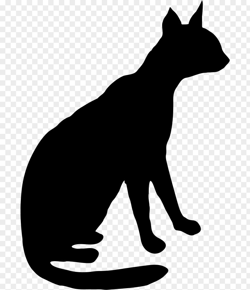 Blackandwhite Line Art Cat Silhouette PNG