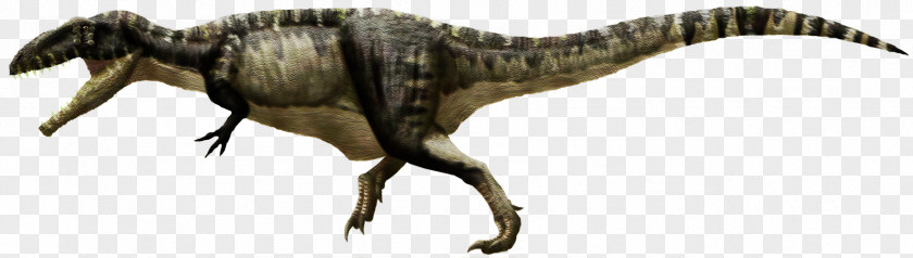 Dinosaur Tyrannosaurus Giganotosaurus Velociraptor Carcharodontosaurus Late Cretaceous PNG