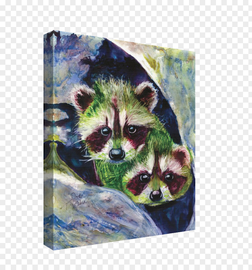 Raccoon Watercolor Painting Whiskers Procyonidae PNG