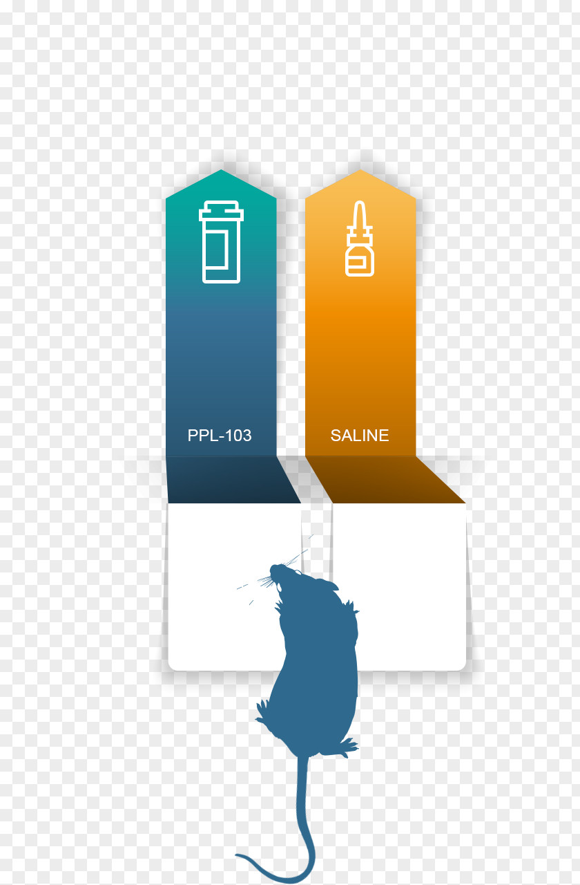 Risk Aversion Morphine Fentanyl Oxycodone Hydrocodone Methadone PNG