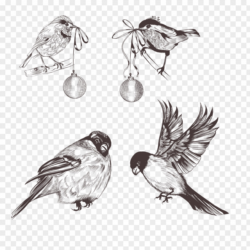 Vector Little Sparrow Bird Euclidean Feather PNG