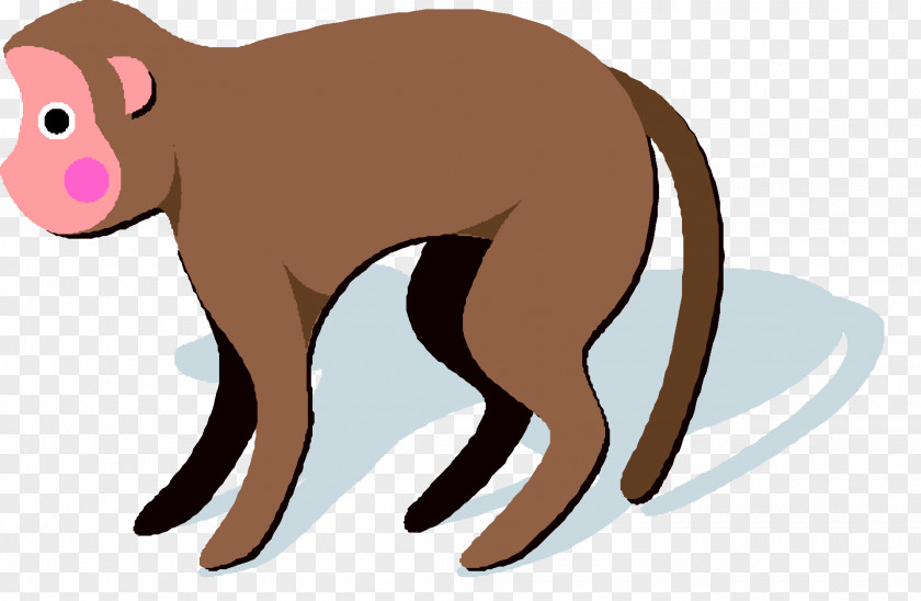 Cat Canidae Mammal Horse Homo Sapiens PNG