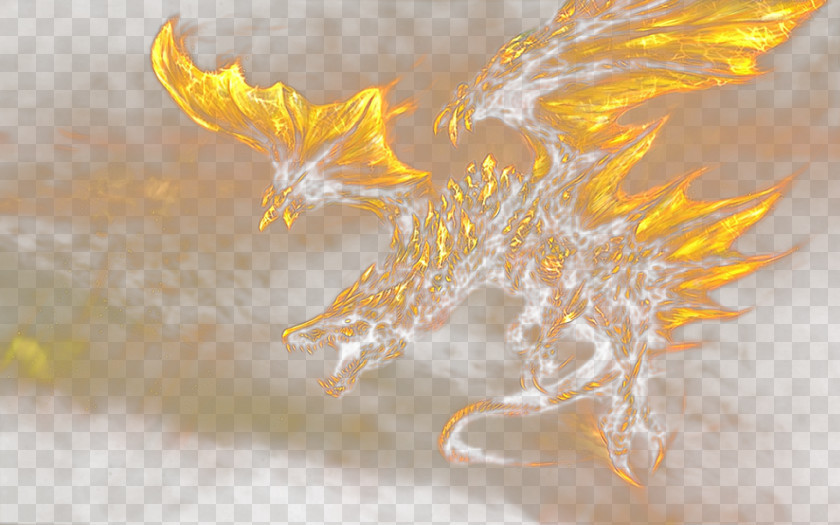 Fire Dragon Material PNG