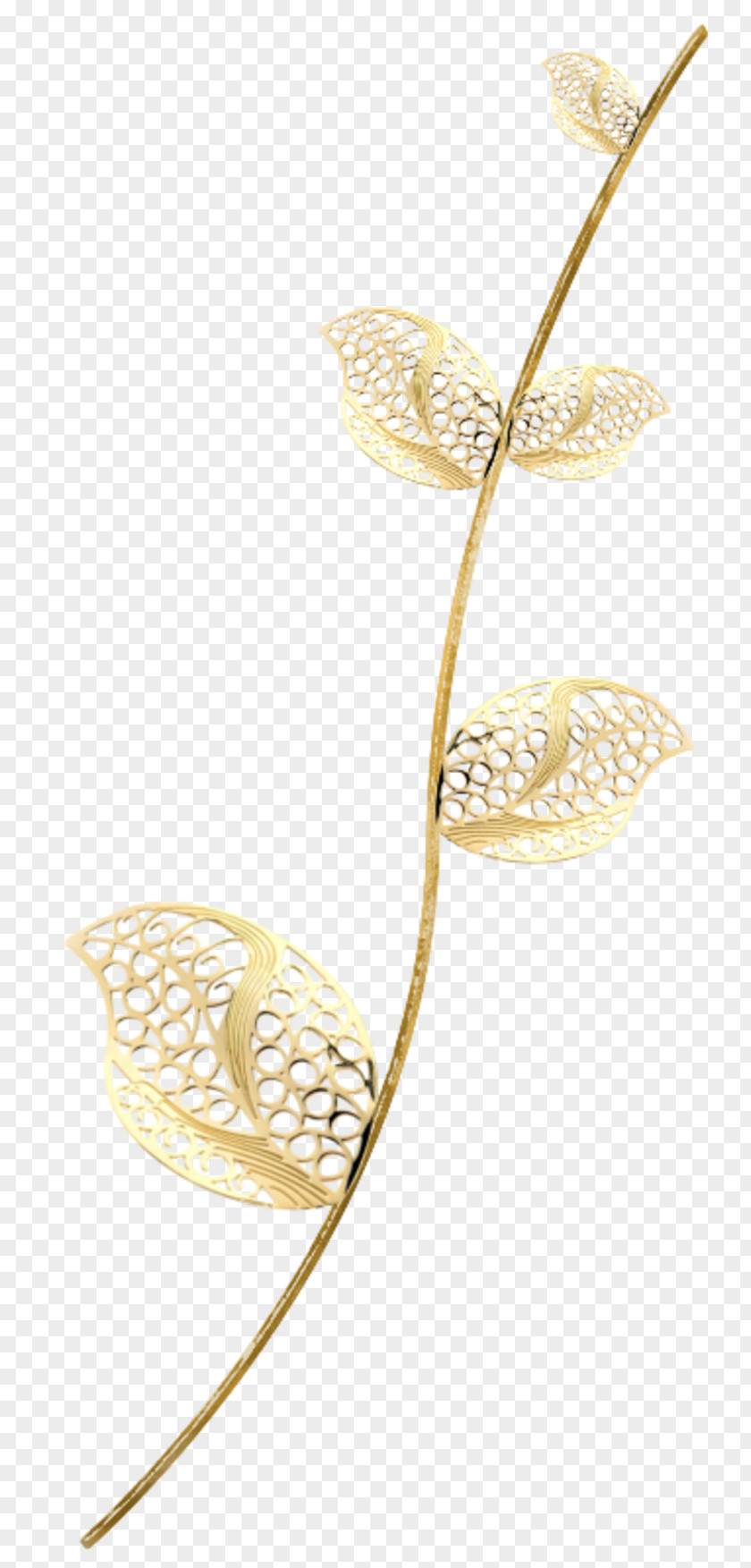 Floral Leaf Image Plant Stem Photograph PNG