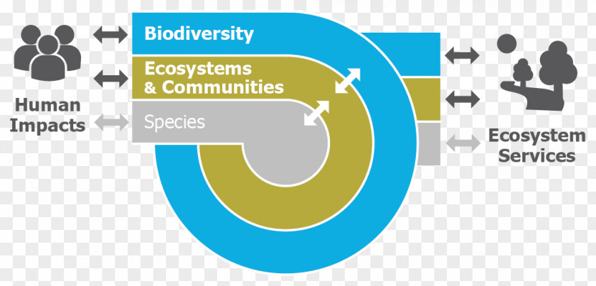 Science Leiden University Biodiversity Ecology Biology PNG