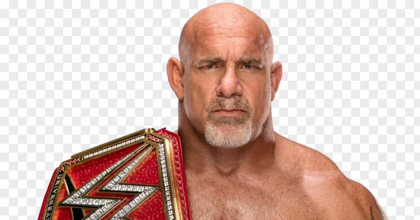 Bill Goldberg WWE Universal Championship United States World Heavyweight PNG Championship, bill goldberg clipart PNG