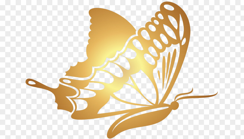 Butterfly Gold Clip Art PNG