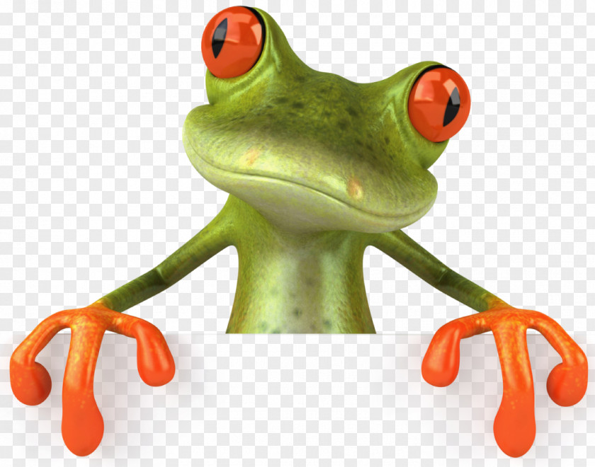 Frog Glass PNG