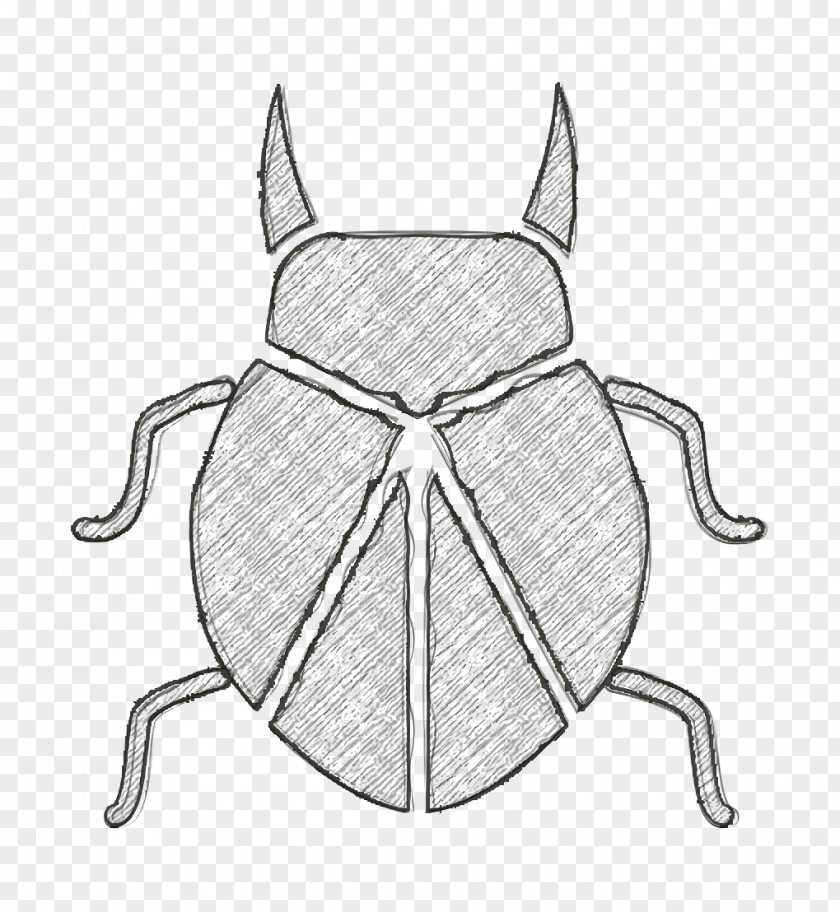 Insects Icon Bug Beetle PNG