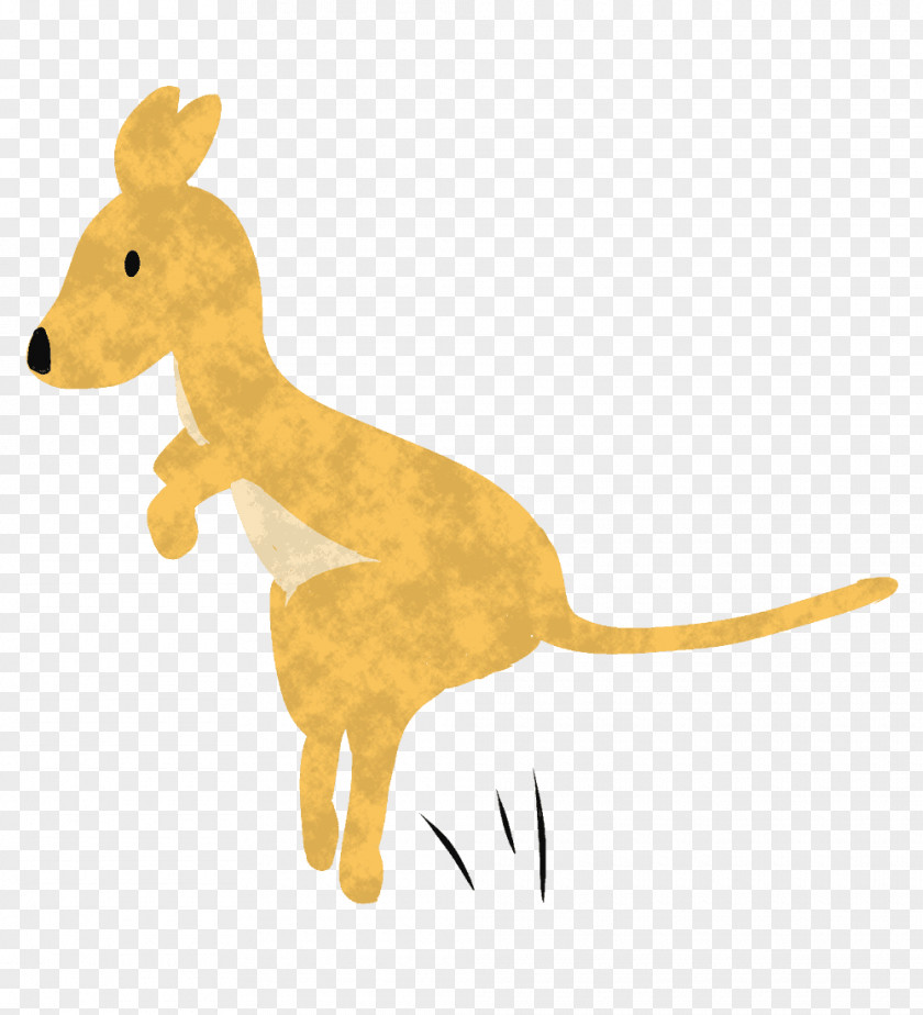 Kangaroo Macropods Giraffe Illustration Animal PNG