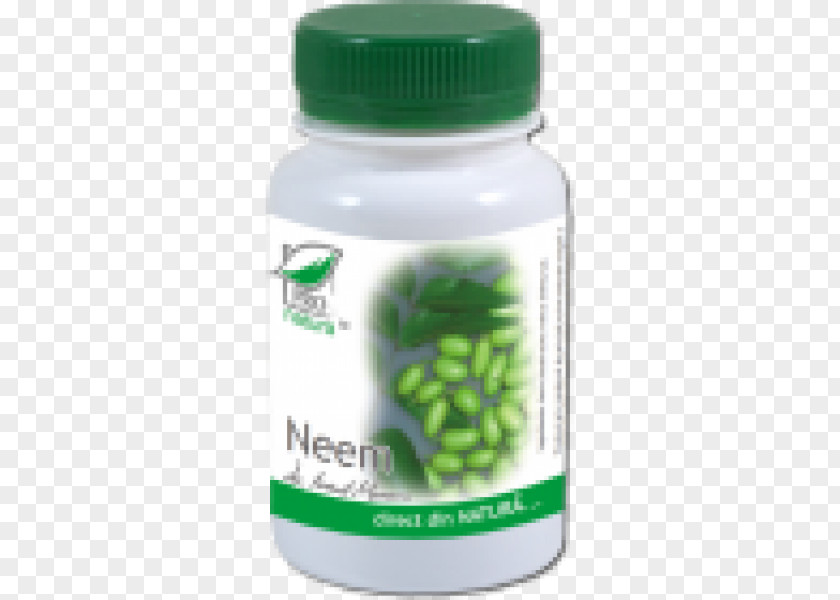 Neem Saw Palmetto Dietary Supplement Prostate Herbalism Therapy PNG