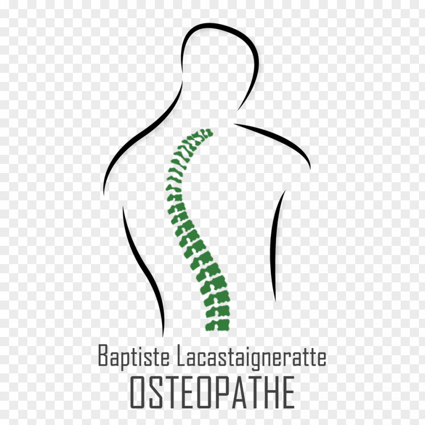 Osteopathe NB Webdesign Osteopathy Place Kennedy Doctor Of Osteopathic Medicine PNG