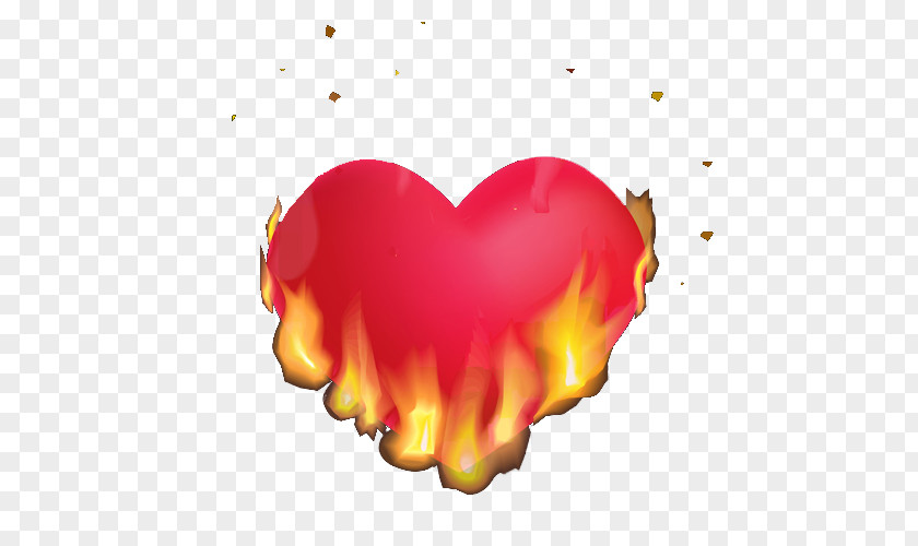 Burning Heart Combustion Flame PNG