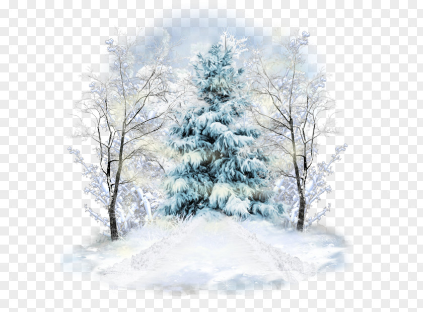 Country Setting Bel Air Spruce Winter Centerblog Image PNG