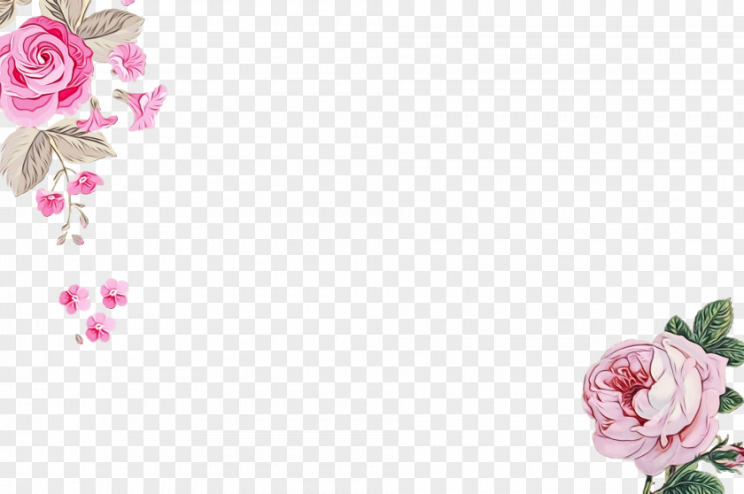 Garden Roses PNG