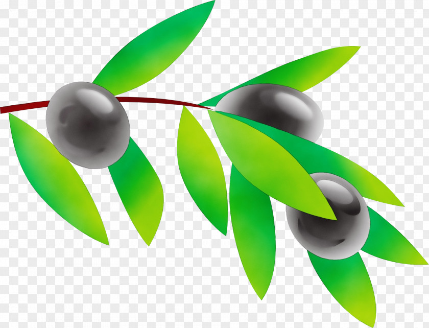 Green Leaf Plant Logo Flower PNG