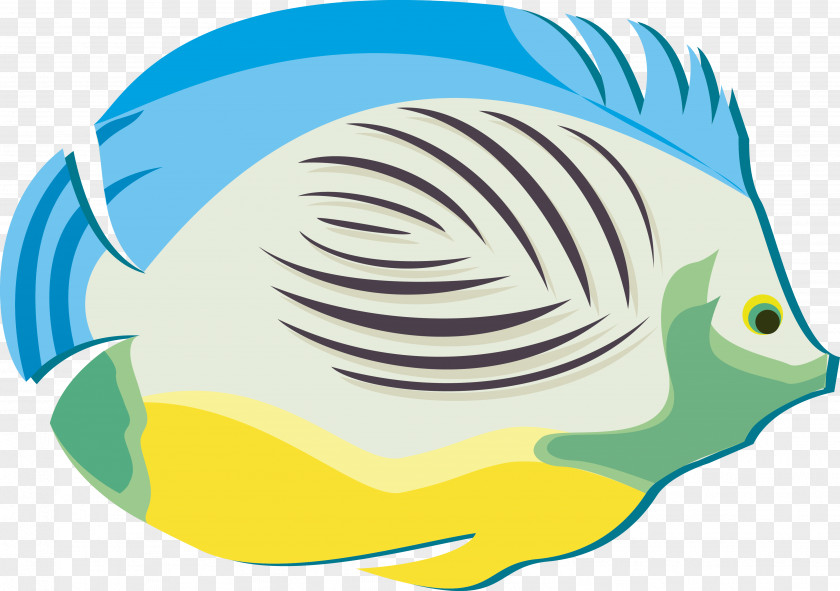 Color Fish Vector Poster PNG