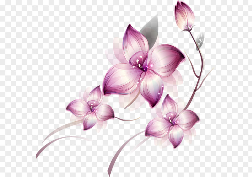 Flowers Flower Clip Art PNG