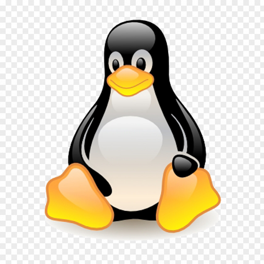 Linux Fedora Unix Operating Systems PNG