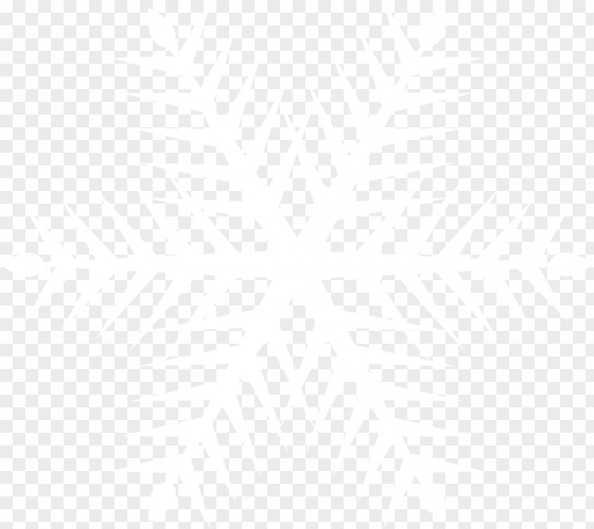 White Snow In Winter United States Malta Organization Business Logo PNG