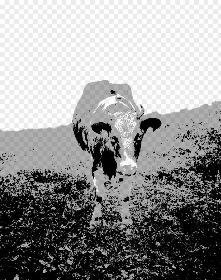 Bovine Black-and-white Dairy Cow Snout Horn PNG