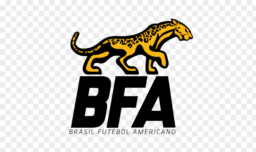 Futebol Americano American Football Brazilian Confederation Campeonato Brasileiro De 2017 Brasil PNG