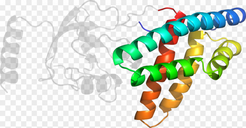 Methylmalonylcoa Clip Art Product Organism Line PNG