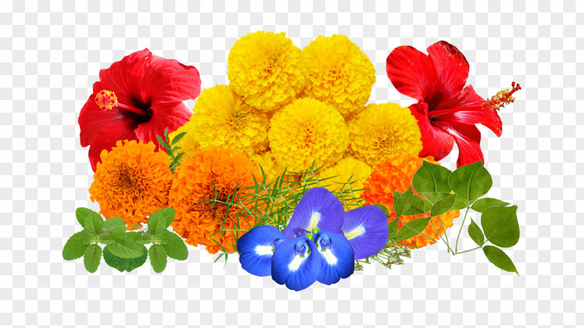 Real Flowers Cut Floral Design Floristry Flower Bouquet PNG