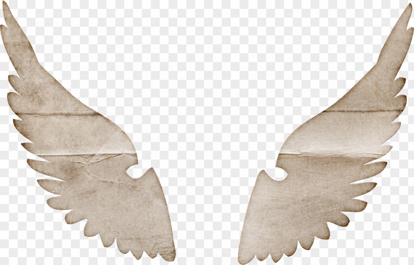 A Pair Of Wings Download PNG