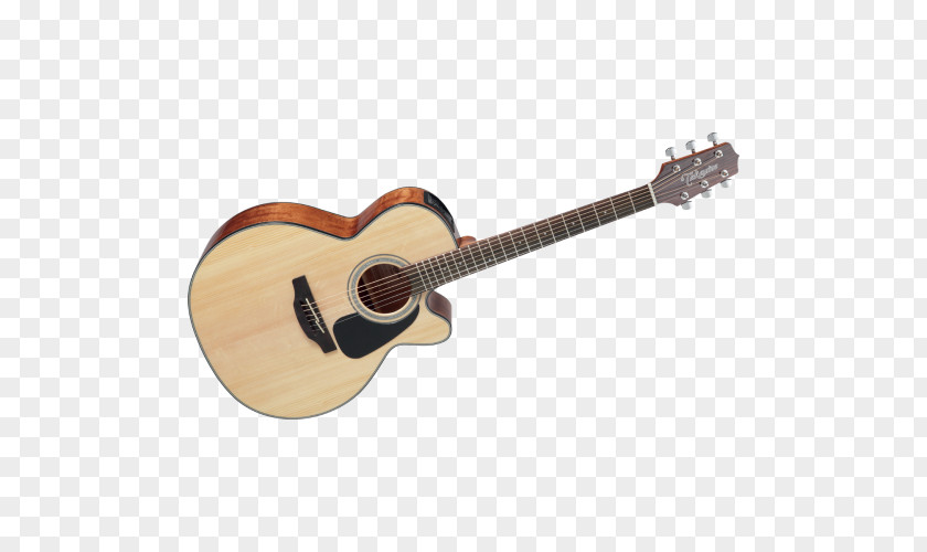 Acoustic Guitar Acoustic-electric Dreadnought Takamine Guitars PNG
