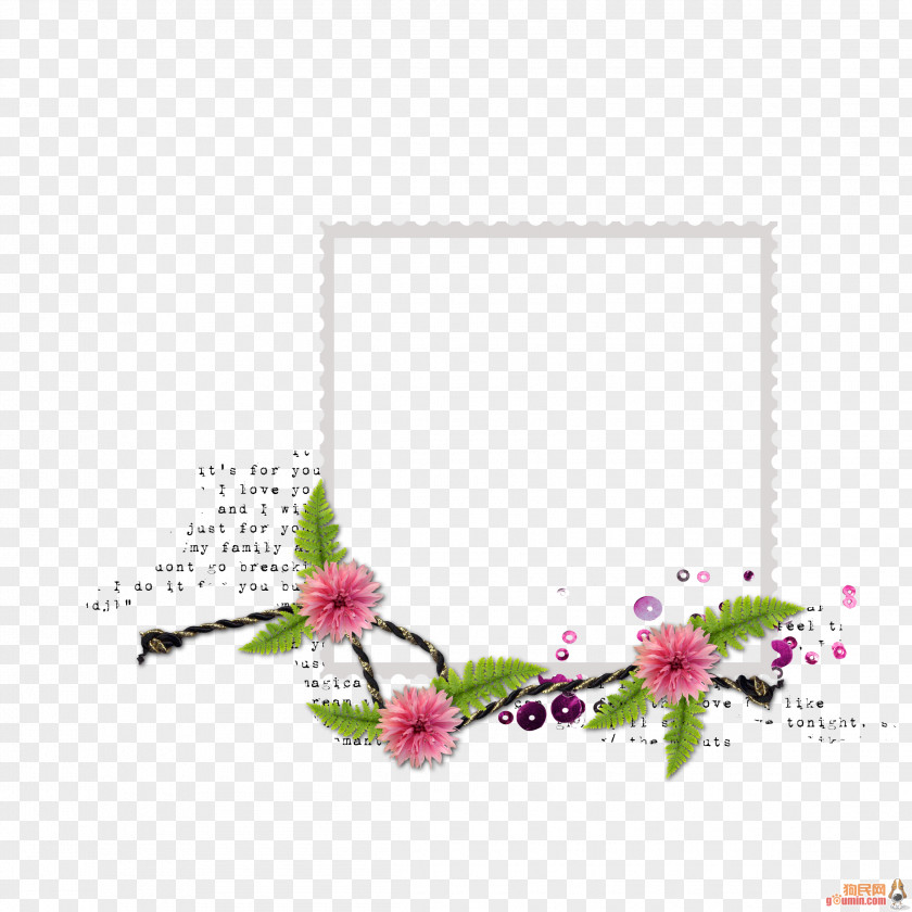 Assinatura Border Image Picture Frames Design PNG