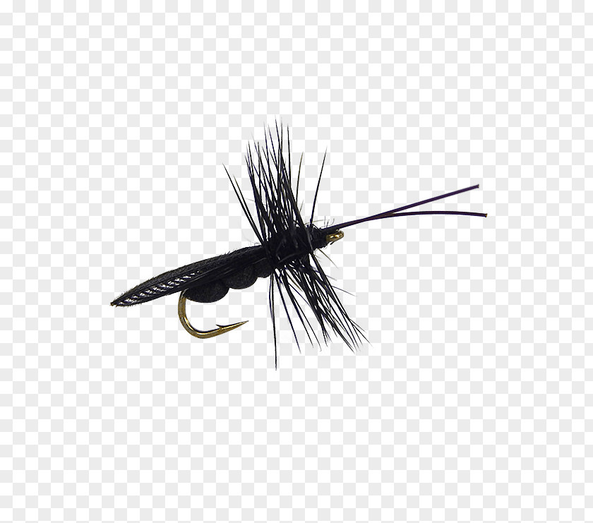 Fly Tying Artificial Caddisflies Insect Wing PNG