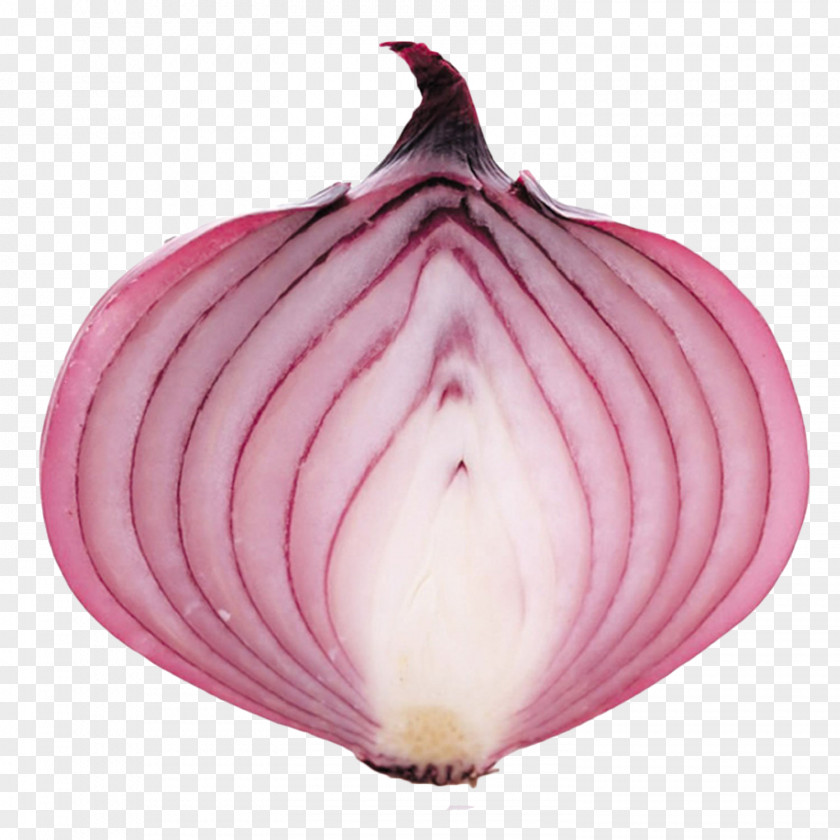 Fresh Purple Onion Tears Vegetable PNG
