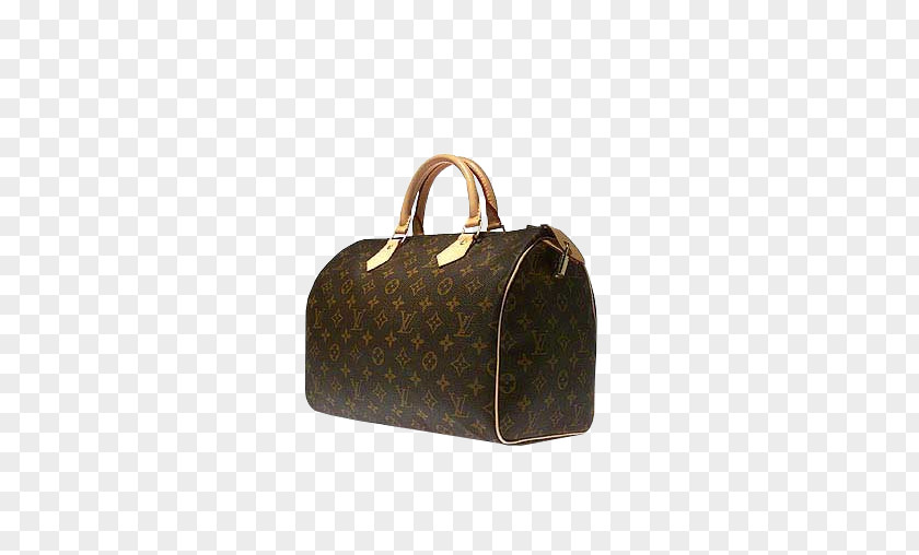 LV Leather Bags Handbag Chanel Louis Vuitton Fashion PNG