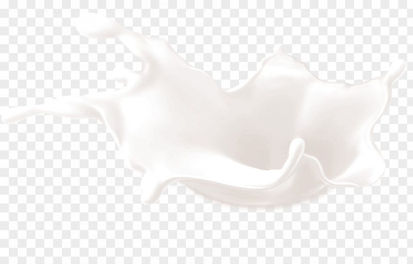 Milk White Pattern PNG