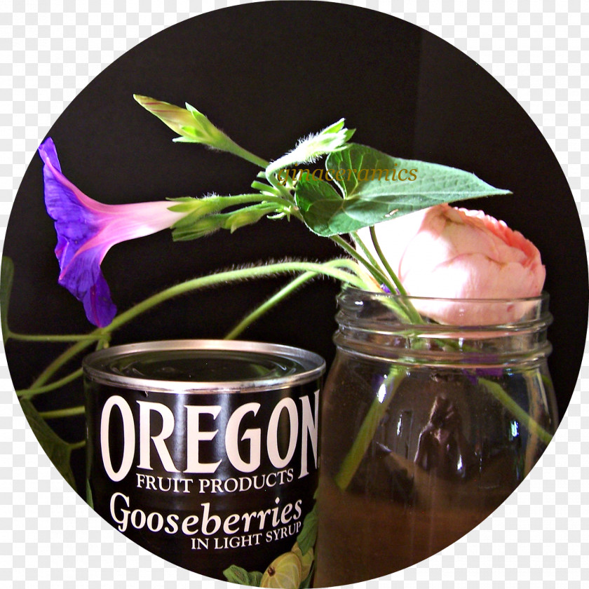Oh Yes Oregon Boysenberry Blackberry Fruit Plant PNG