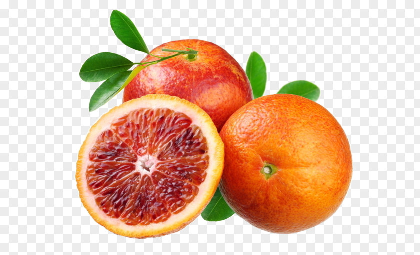 Orange Fizzy Drinks Citron Soda Syphon Blood PNG
