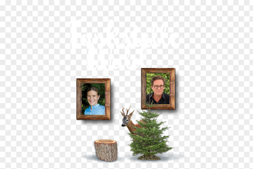 Wald Picture Frames Shelf PNG
