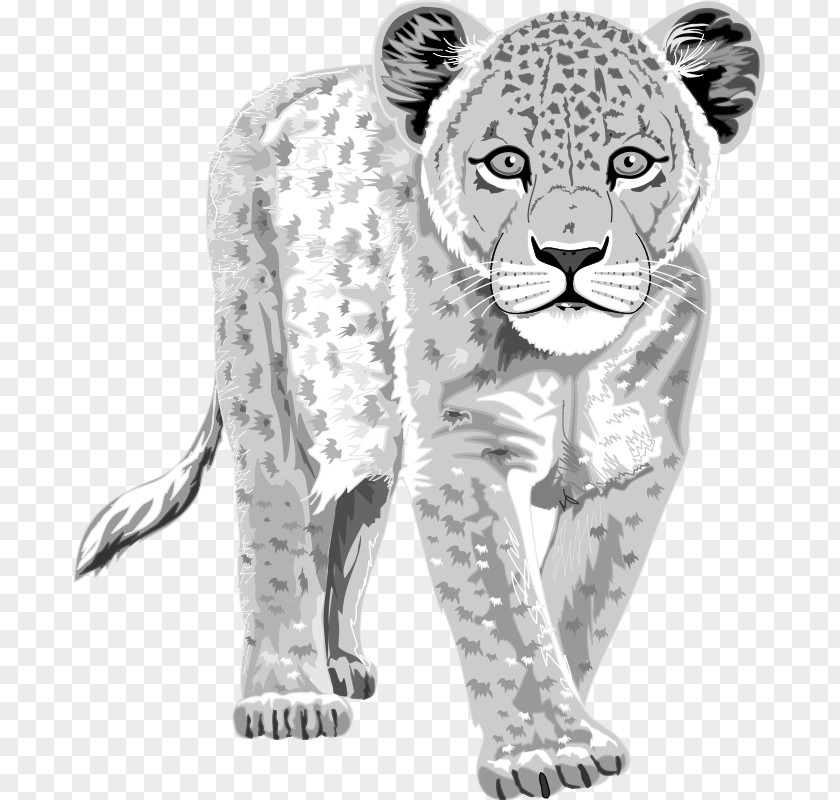 Leopard Snow Tiger Clip Art PNG