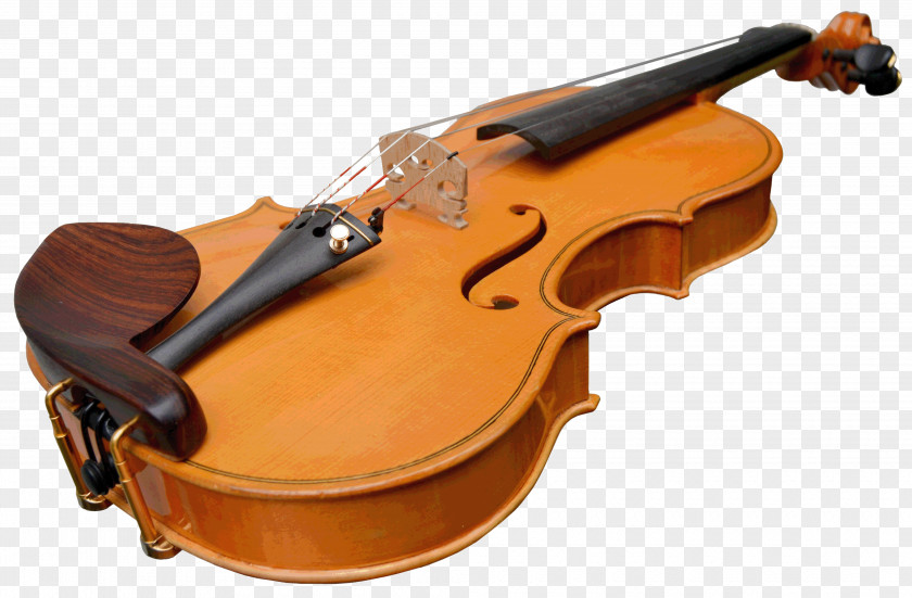 Violin Musical Instruments Cello Viola Chordophone PNG