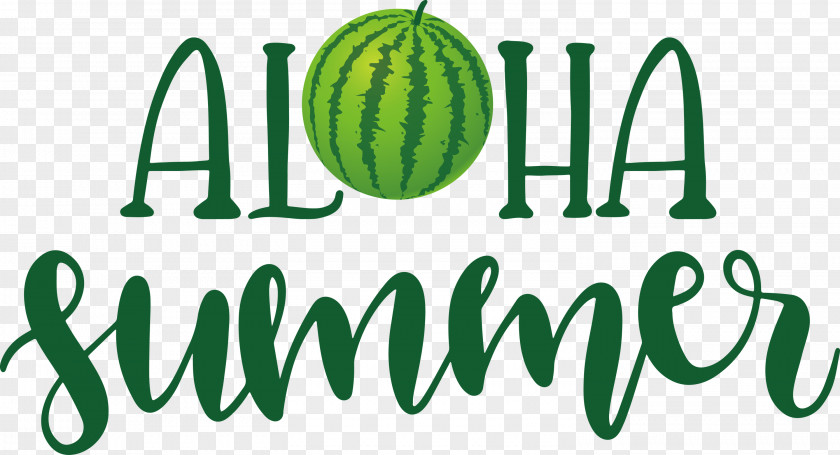 Aloha Summer PNG