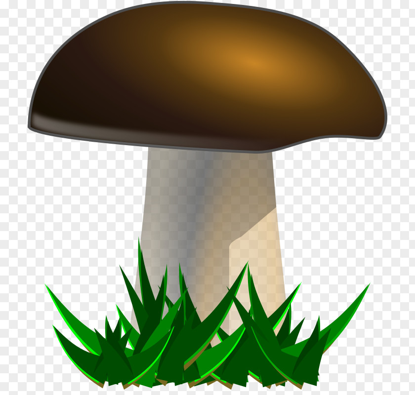 Clip Mushroom Fungus Art PNG