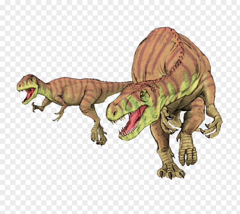 Dinosaur Afrovenator Theropods Janenschia Agilisaurus Jobaria PNG
