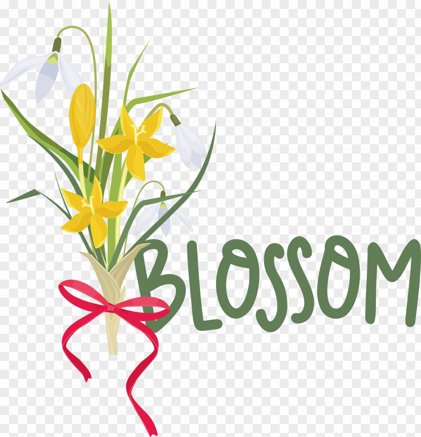 Floral Design PNG