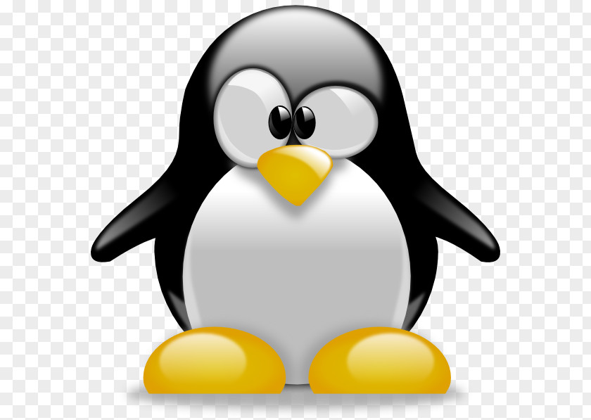 Penguins King Penguin Cartoon Clip Art PNG