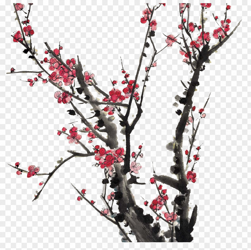 Plum Flower Blossom Download Chinese Painting PNG