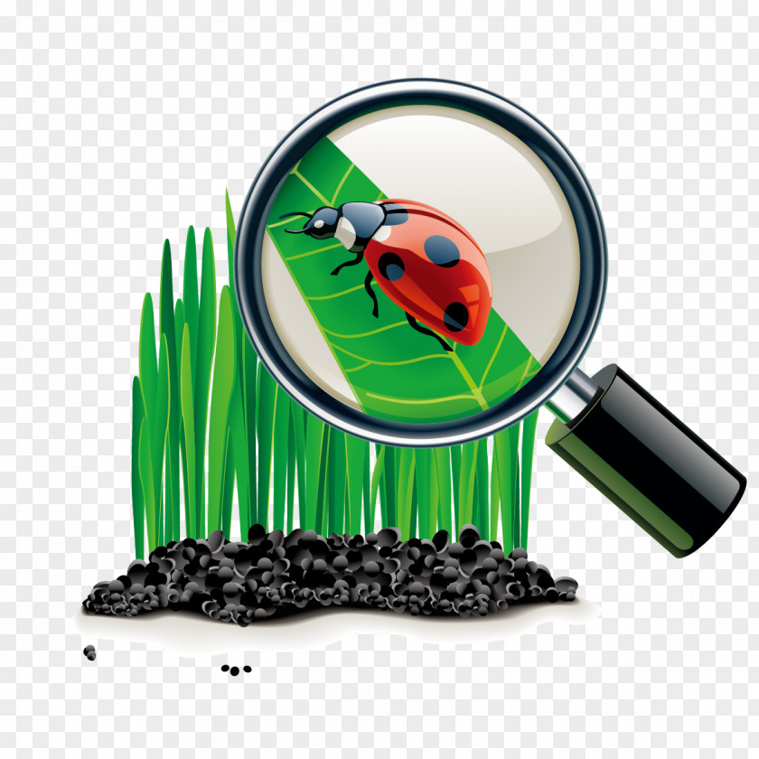 Vector Magnifying Glass Cartoon Clip Art PNG