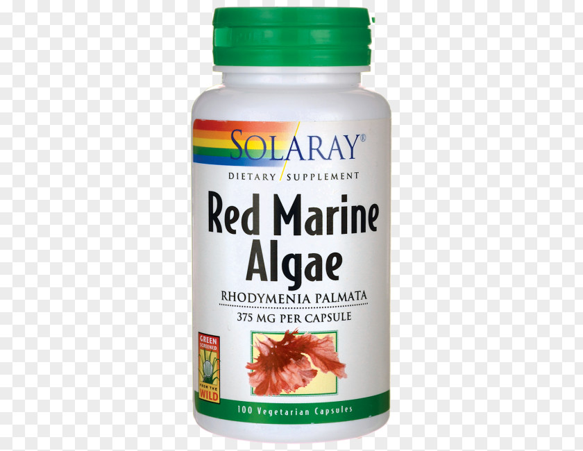 Dietary Supplement Red Algae Capsule Brown PNG
